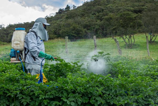 Control de riesgos en el uso de plaguicidas
